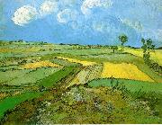 Vincent Van Gogh Wheat Fields at Auvers Under Clouded Sky china oil painting artist